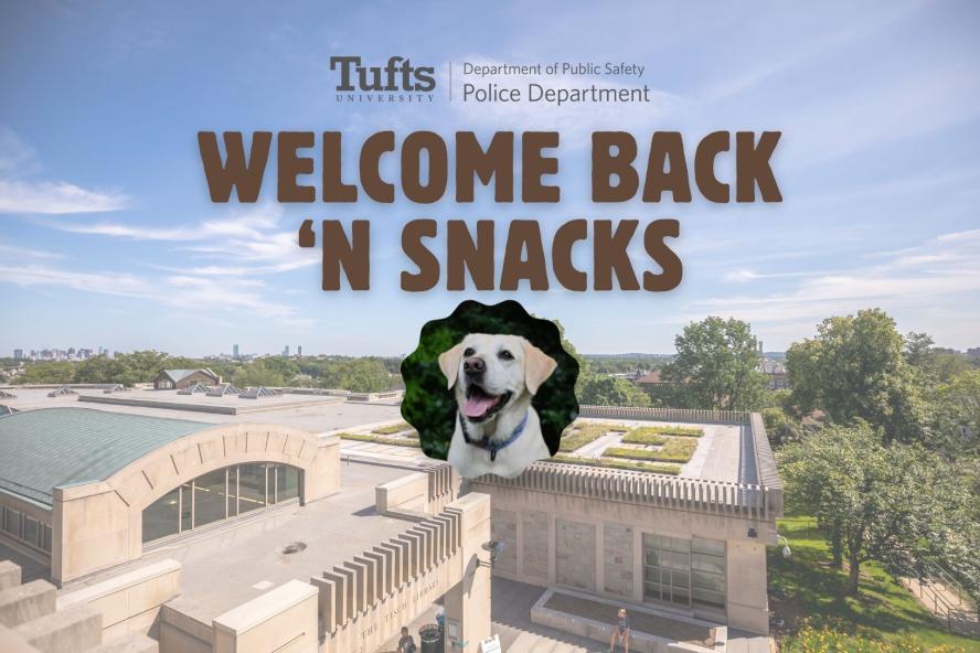 And overhead image of a library exterior with text and an image of a yellow Labrador