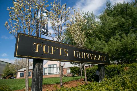 Tufts sign flowers